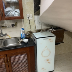 Cây lọc nước đứng 1 vòi DOMIRA DS 900N